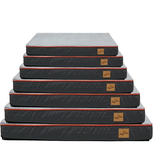 Bingopaw orthopedic pet - orthopedic,