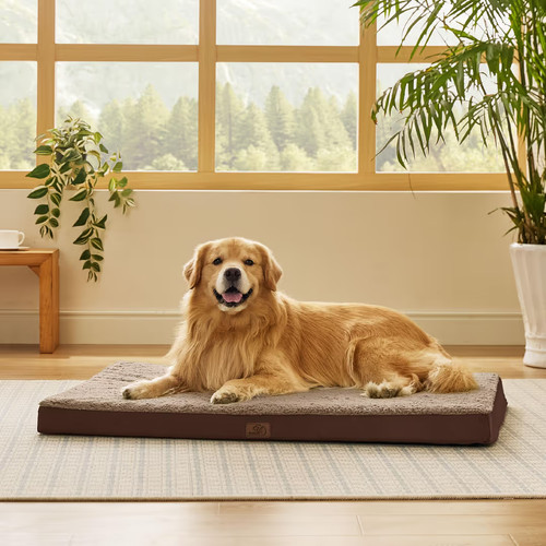 Bedsure orthopaedic extra - bedsure,