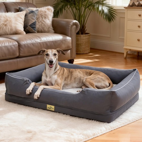 Orthopedic dog beds waterproof - dog,
