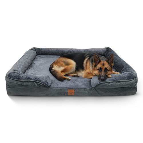 Orthopedic memory foam - orthopedic, dog