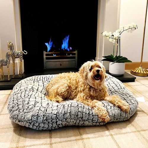 Dog bed luxury - luxury, large