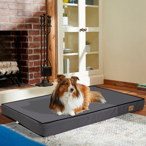 Large flat panel dog - large,
