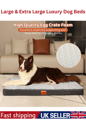 Premium orthopedic memory foam - memory,