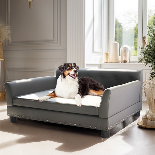 Large leather dog - leather, sofa
