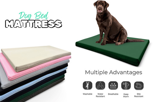 Dog bed cushion orthopedic - bed,