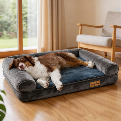 Bingopaw orthopedic dog bed - bingopaw,