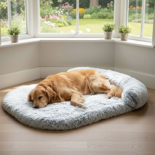 Sofa protector dog - protector,