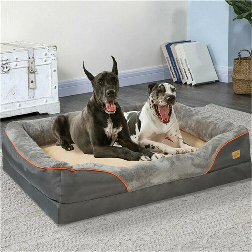Jumbo large orthopedic dog bed - dog,