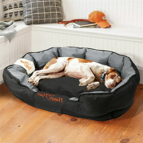 Heavy duty xxl large - heavy, dog