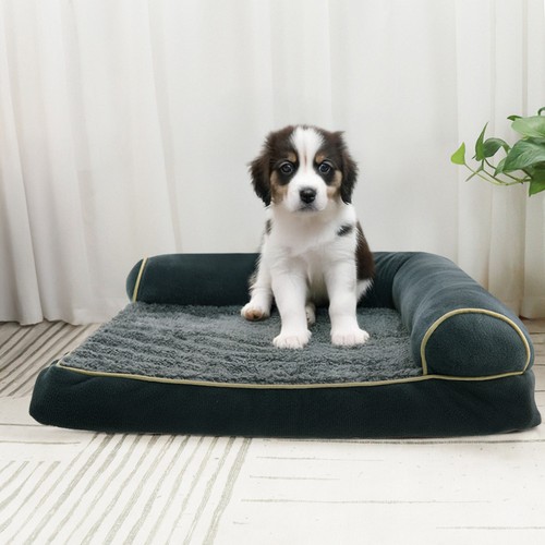 Dog bed with - dog,
