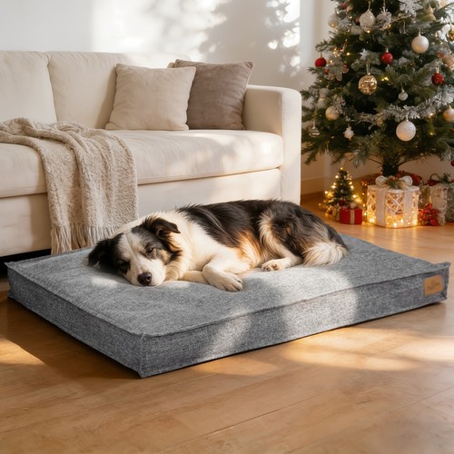 Xxl tough ripstop dog - xxl,