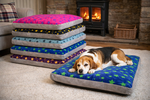 Hometex luxury stars dog - hometex, bed