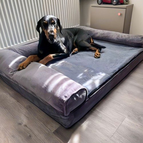 Xxl orthopedic dog - xxl,