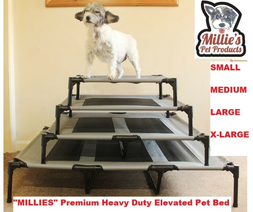 Elevated dog bed - elevated, mesh