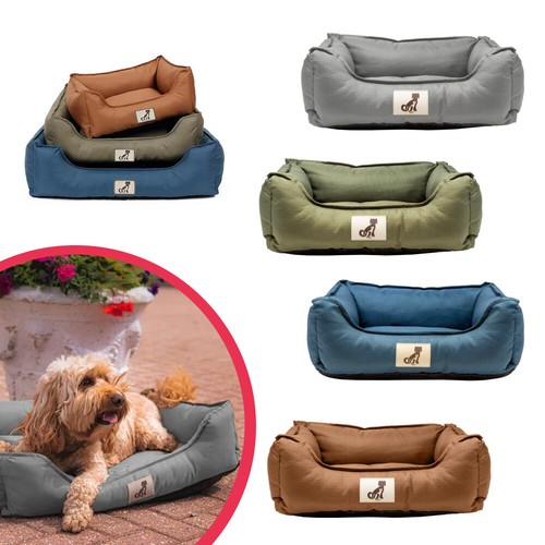 Allpetsolutions dexter - allpetsolutions,
